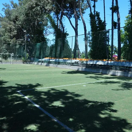 Karev Sport